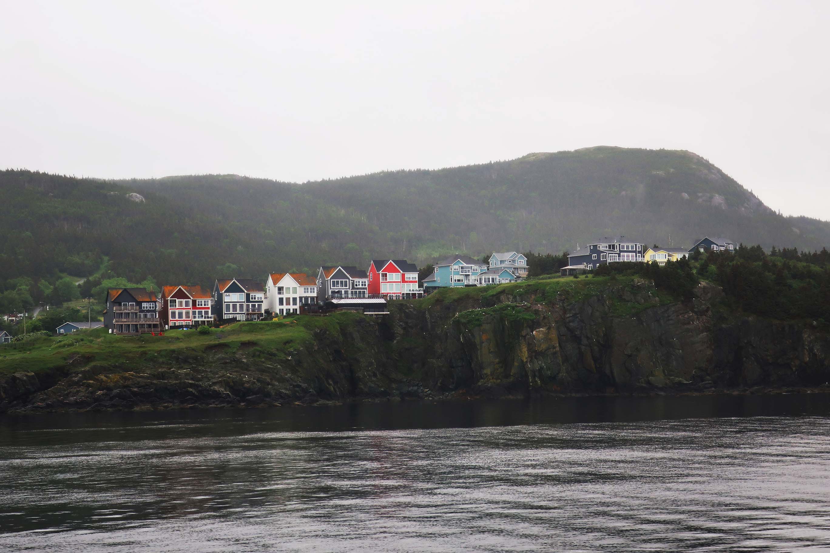 Newfoundland, photo 3