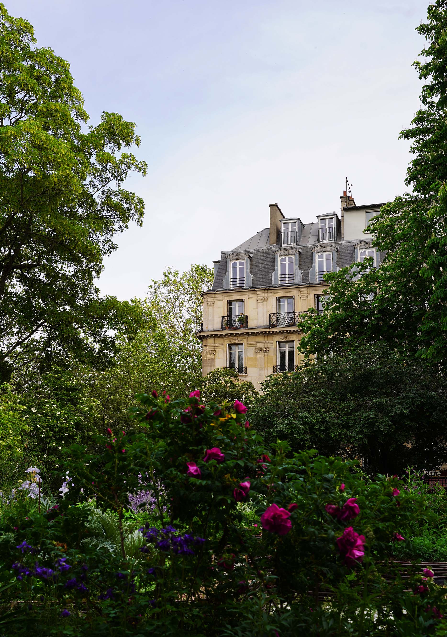 Old Paris, photo 4