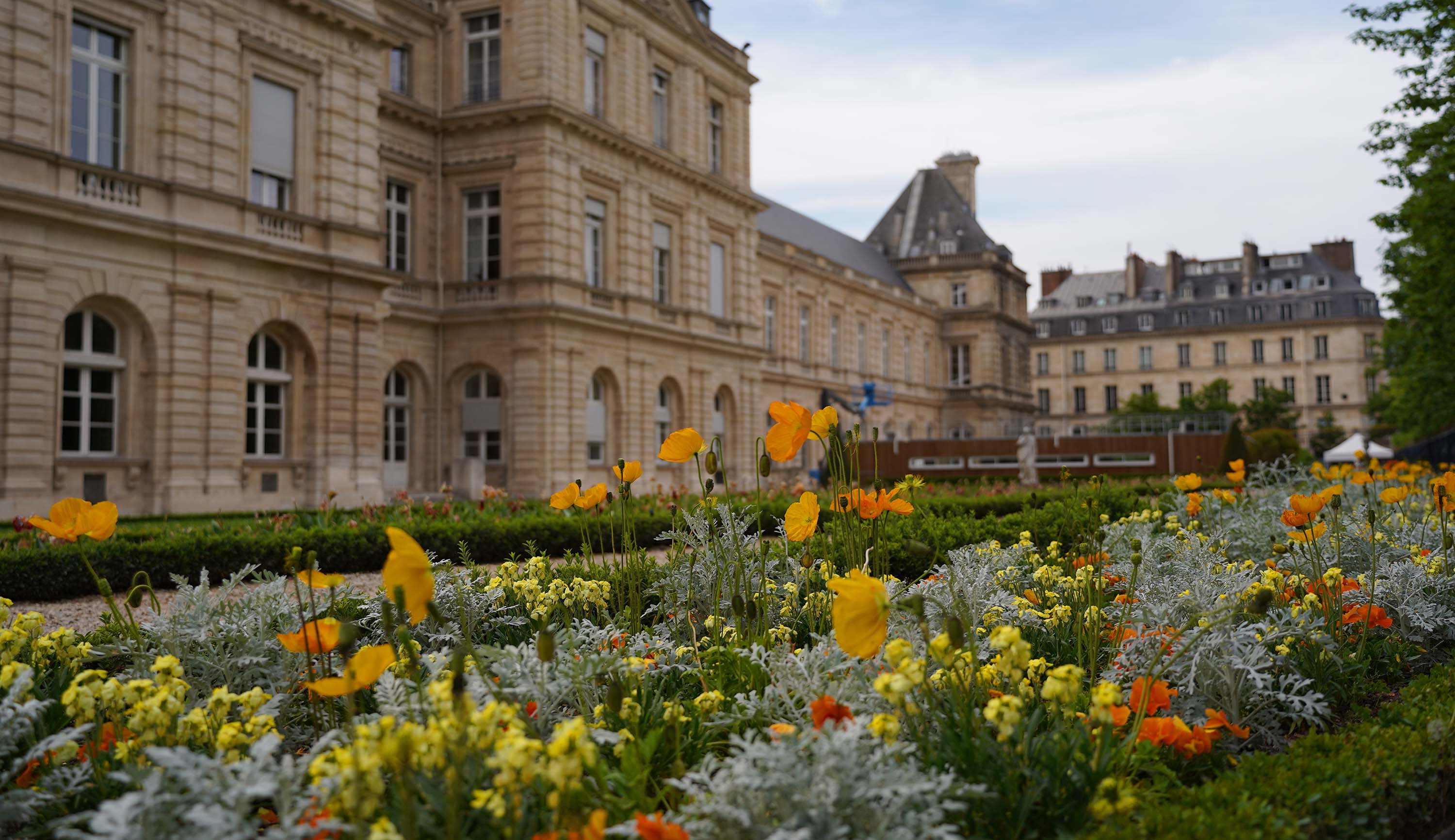 Old Paris, photo 5
