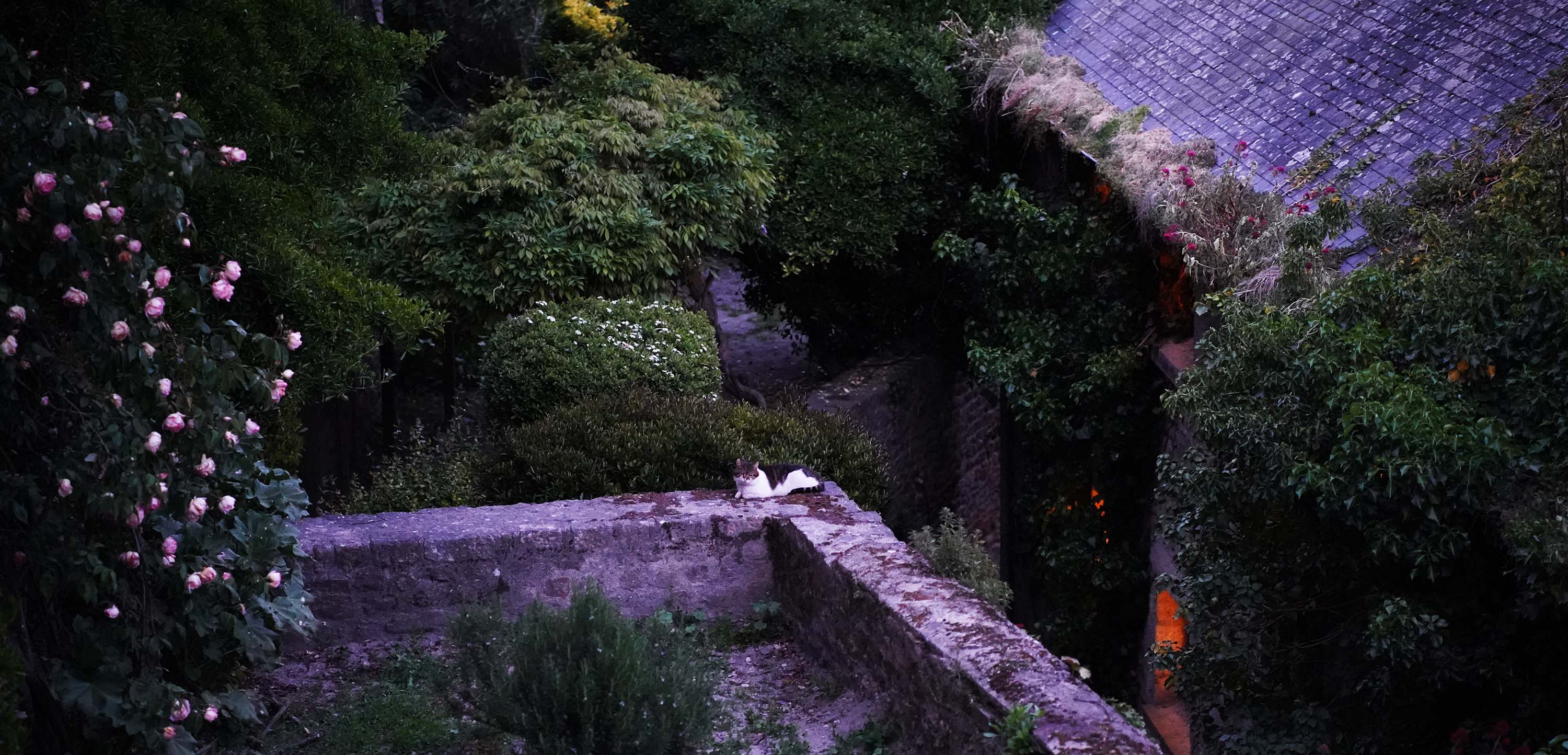 Old Paris, photo 6